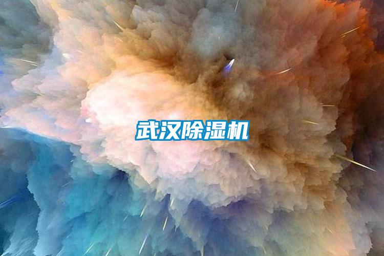 武汉除湿机