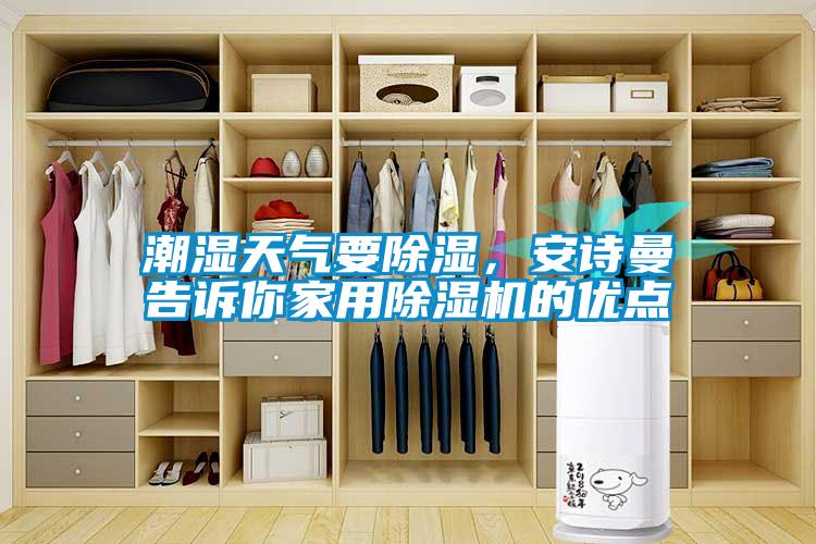 潮湿天气要除湿，xk星空体育官网告诉你星空体育app官网的优点