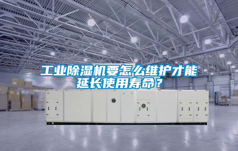 星空娱乐彩票是什么网站要怎么维护才能延长使用寿命？