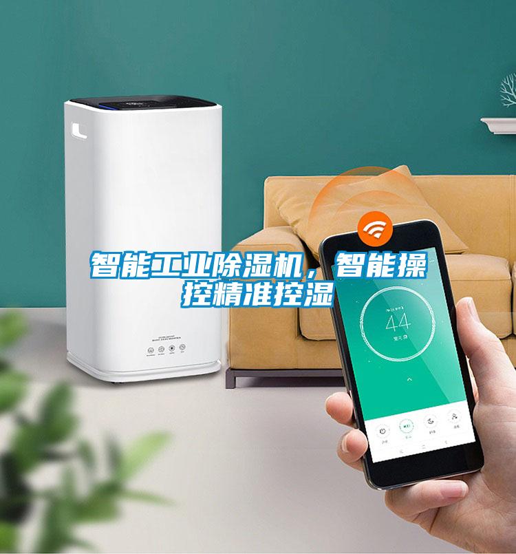 智能星空娱乐彩票是什么网站，智能操控精准控湿