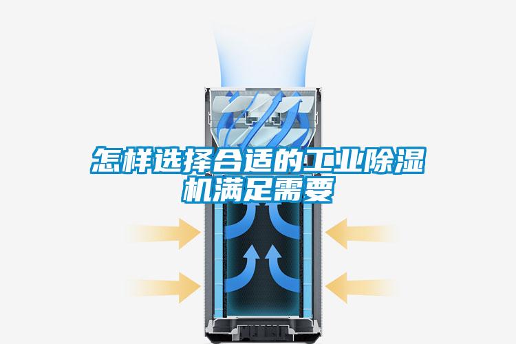 怎样选择合适的星空娱乐彩票是什么网站满足需要