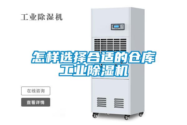 怎样选择合适的仓库星空娱乐彩票是什么网站