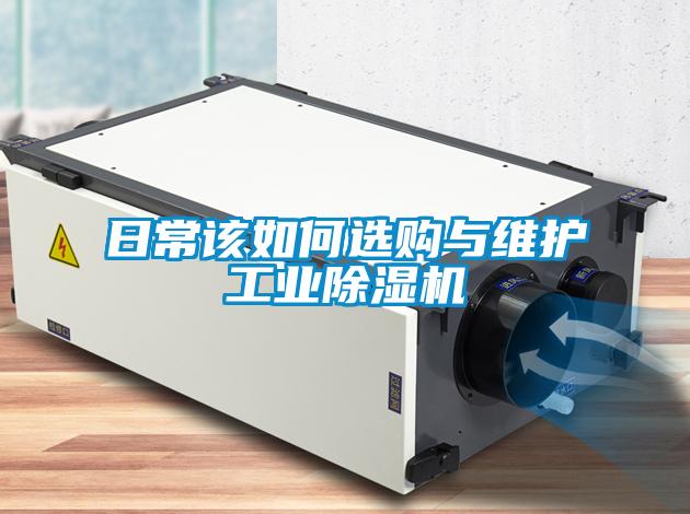 日常该如何选购与维护星空娱乐彩票是什么网站