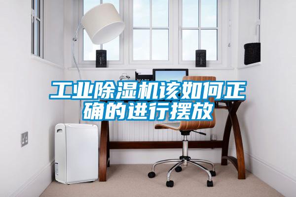 星空娱乐彩票是什么网站该如何正确的进行摆放