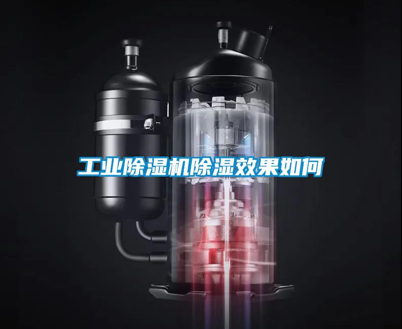 星空娱乐彩票是什么网站除湿效果如何