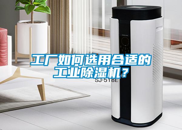 工厂如何选用合适的星空娱乐彩票是什么网站？
