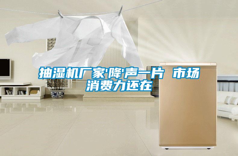 抽湿机厂家'降'声一片 市场消费力还在