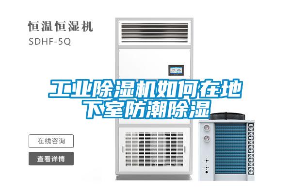 星空娱乐彩票是什么网站如何在地下室防潮除湿