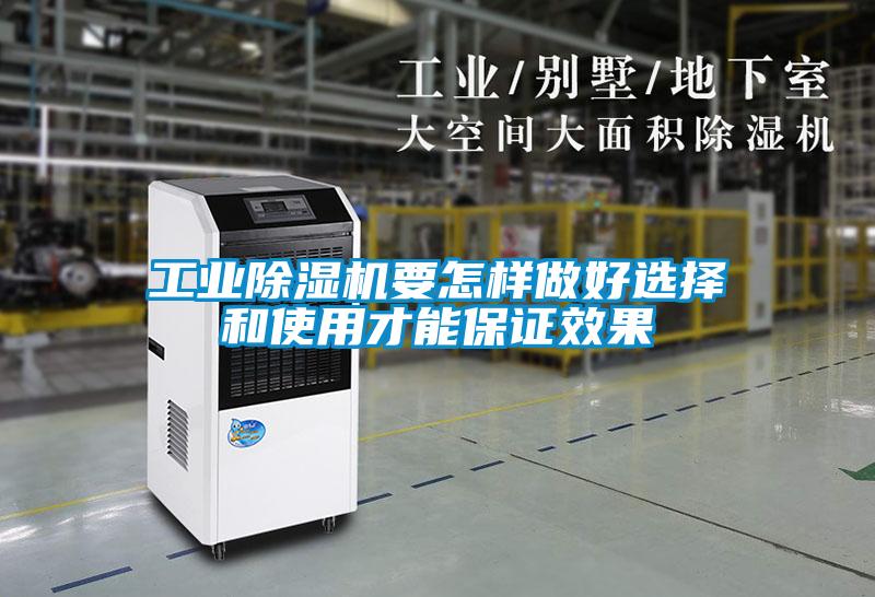 星空娱乐彩票是什么网站要怎样做好选择和使用才能保证效果