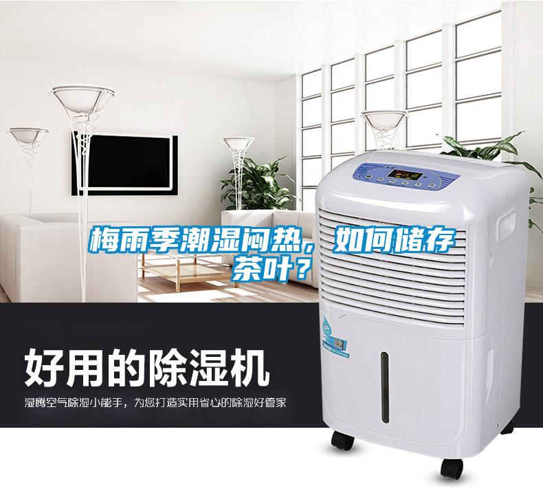 梅雨季潮湿闷热，如何储存茶叶？