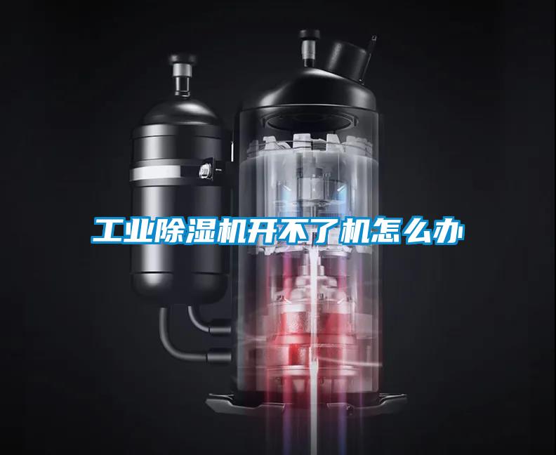 星空娱乐彩票是什么网站开不了机怎么办