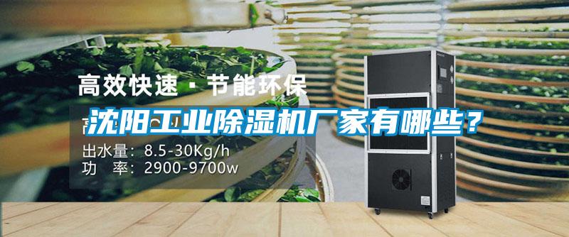 沈阳星空娱乐彩票是什么网站厂家有哪些？