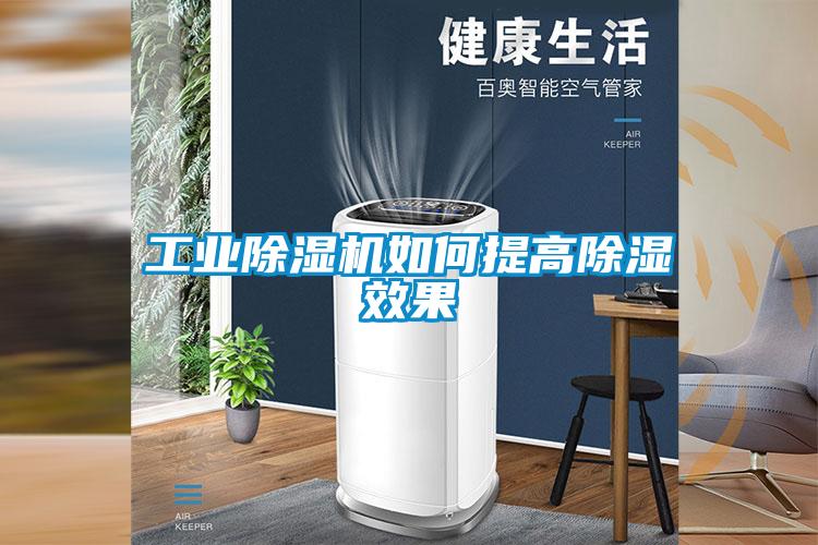 星空娱乐彩票是什么网站如何提高除湿效果