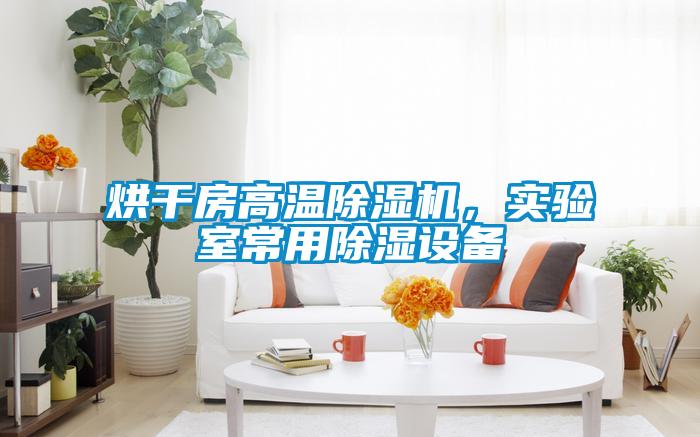 烘干房高温除湿机，实验室常用除湿设备