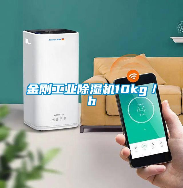 金刚星空娱乐彩票是什么网站10kg／h