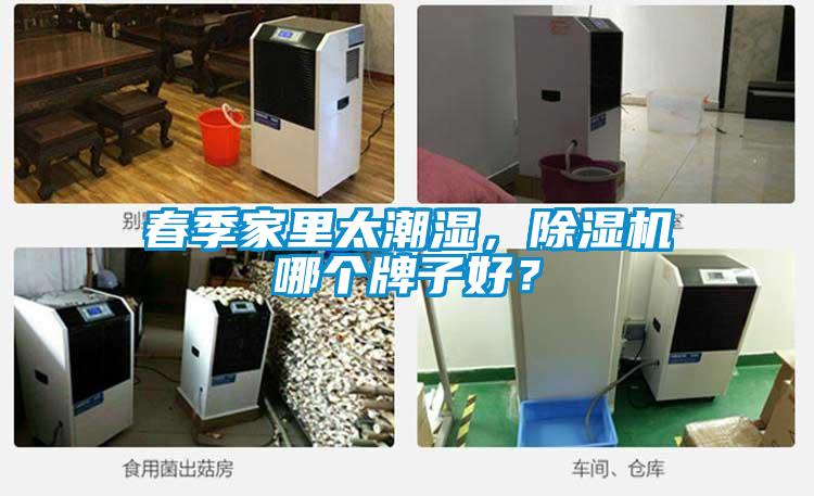 春季家里太潮湿，除湿机哪个牌子好？