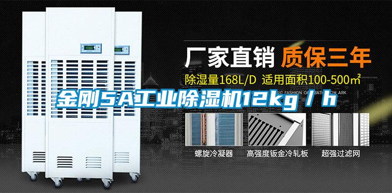 金刚5A星空娱乐彩票是什么网站12kg／h
