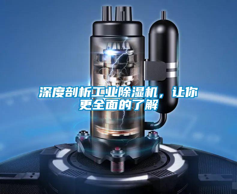深度剖析星空娱乐彩票是什么网站，让你更全面的了解