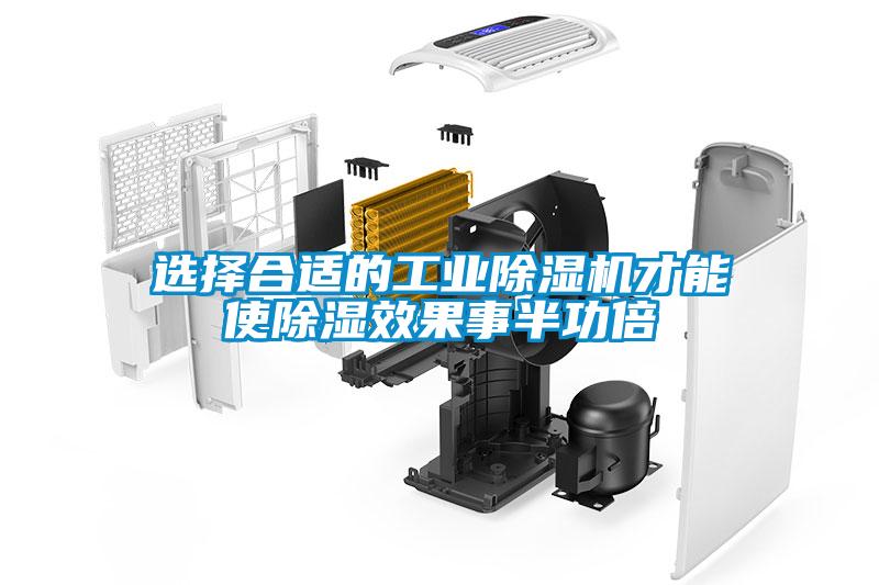 选择合适的星空娱乐彩票是什么网站才能使除湿效果事半功倍