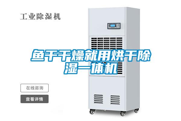 鱼干干燥就用烘干除湿一体机