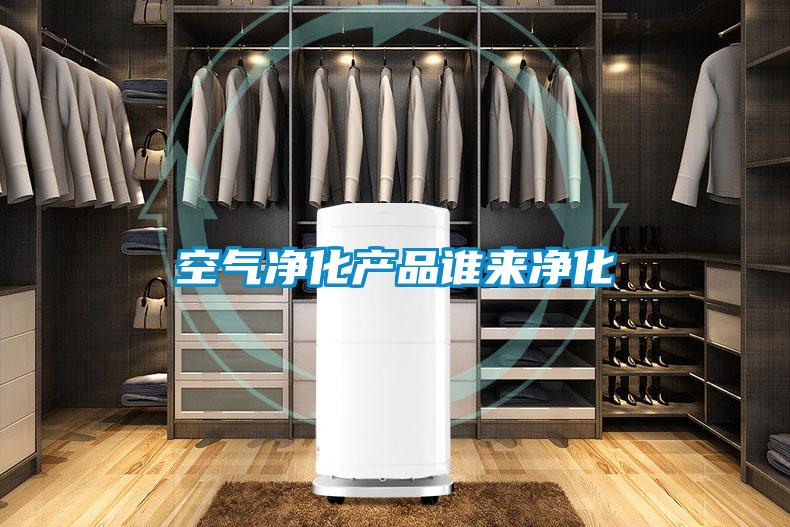 空气净化产品谁来净化