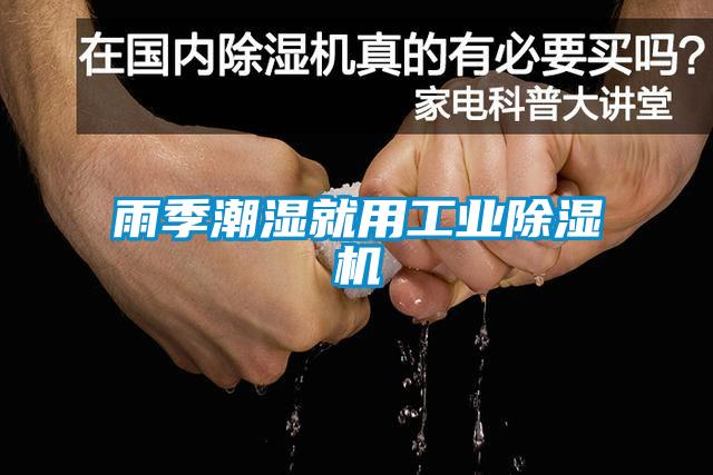 雨季潮湿就用星空娱乐彩票是什么网站