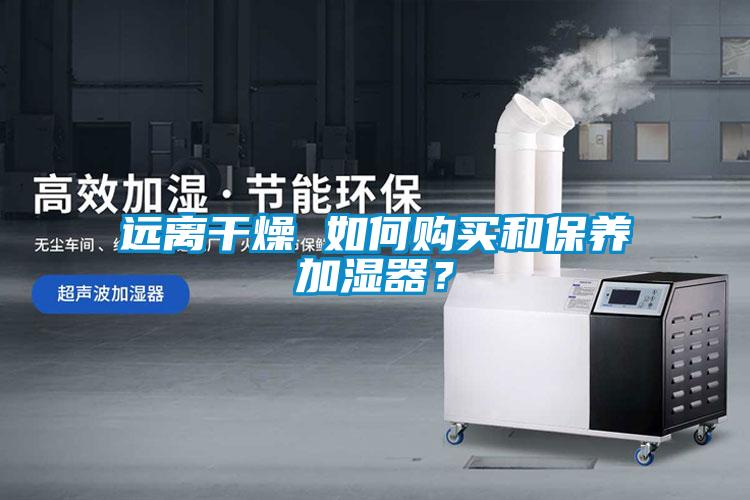 远离干燥 如何购买和保养加湿器？