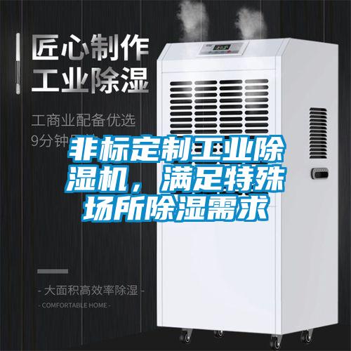 非标定制星空娱乐彩票是什么网站，满足特殊场所除湿需求