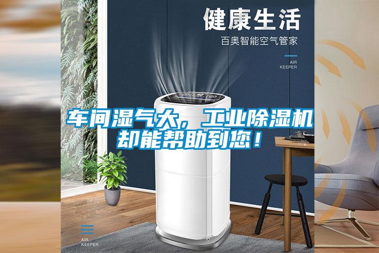 车间湿气大，星空娱乐彩票是什么网站却能帮助到您！