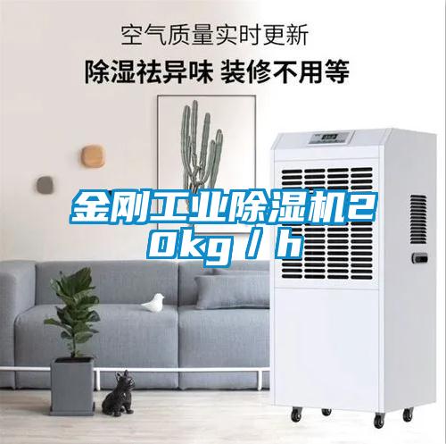 金刚星空娱乐彩票是什么网站20kg／h