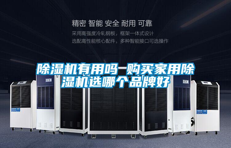 除湿机有用吗 购买星空体育app官网选哪个品牌好