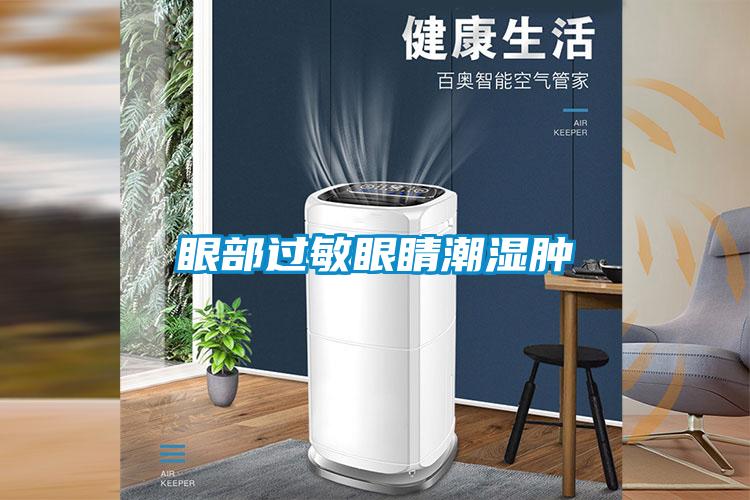 眼部过敏眼睛潮湿肿