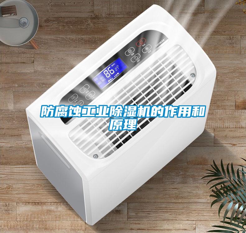 防腐蚀星空娱乐彩票是什么网站的作用和原理