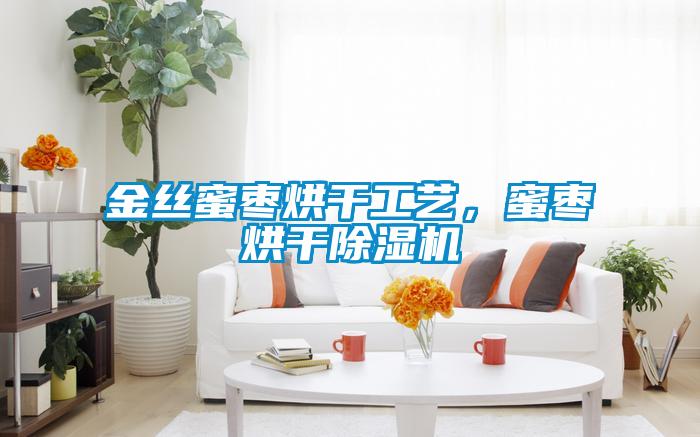 金丝蜜枣烘干工艺，蜜枣烘干除湿机