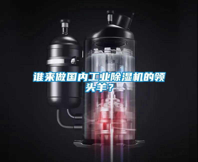 谁来做国内星空娱乐彩票是什么网站的领头羊？