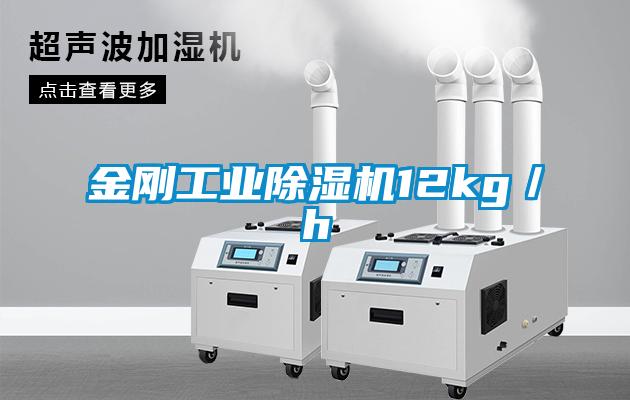 金刚星空娱乐彩票是什么网站12kg／h