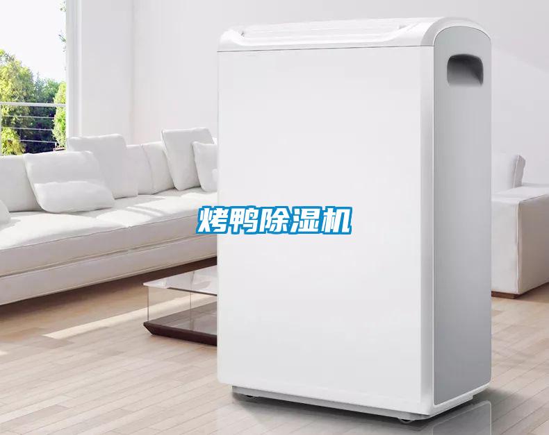 烤鸭除湿机