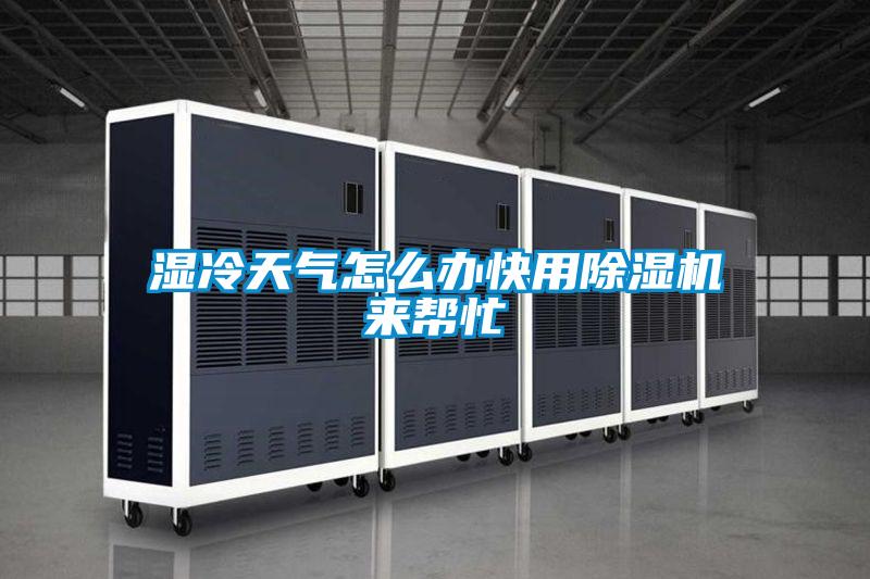 湿冷天气怎么办快用除湿机来帮忙