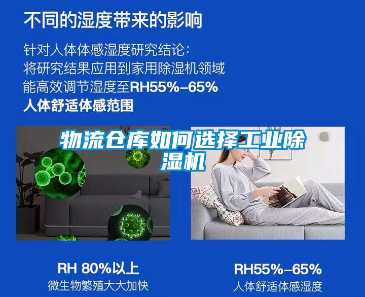 物流仓库如何选择星空娱乐彩票是什么网站