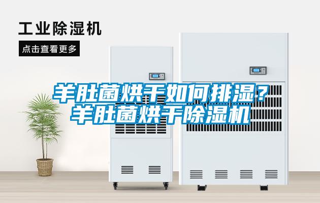 羊肚菌烘干如何排湿？羊肚菌烘干除湿机