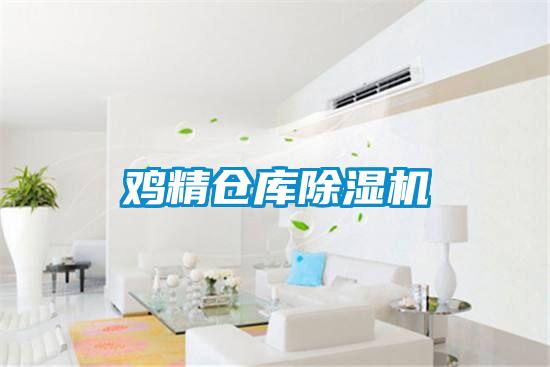 鸡精仓库除湿机