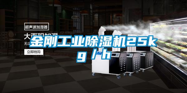 金刚星空娱乐彩票是什么网站25kg／h