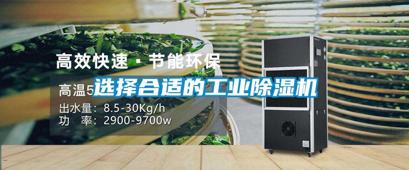 选择合适的星空娱乐彩票是什么网站