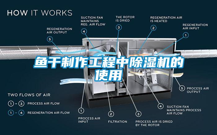 鱼干制作工程中除湿机的使用