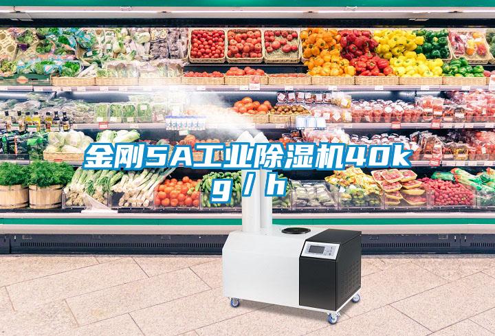 金刚5A星空娱乐彩票是什么网站40kg／h