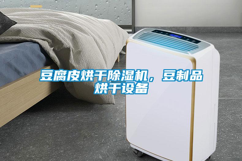 豆腐皮烘干除湿机，豆制品烘干设备