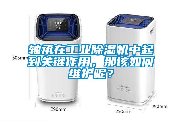 轴承在星空娱乐彩票是什么网站中起到关键作用，那该如何维护呢？