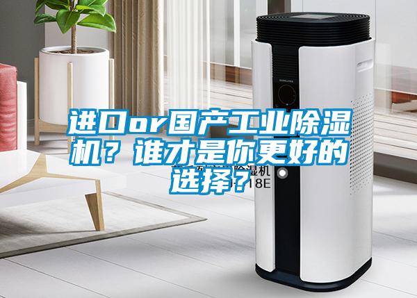 进口or国产星空娱乐彩票是什么网站？谁才是你更好的选择？