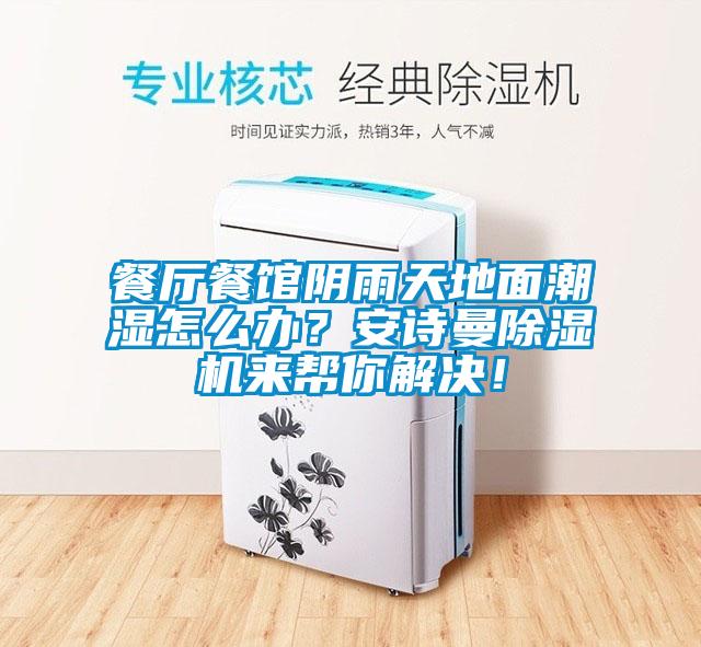 餐厅餐馆阴雨天地面潮湿怎么办？xk星空体育官网除湿机来帮你解决！