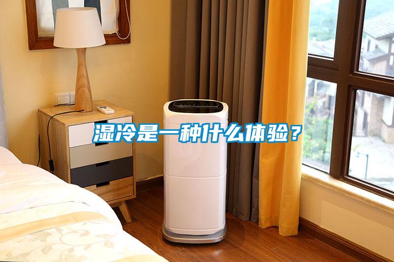 湿冷是一种什么体验？